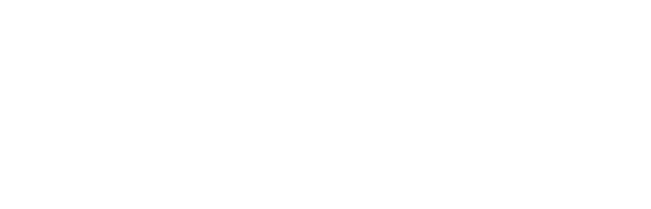 E11VN