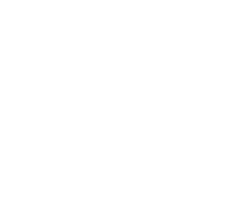 ELANFOUSHY