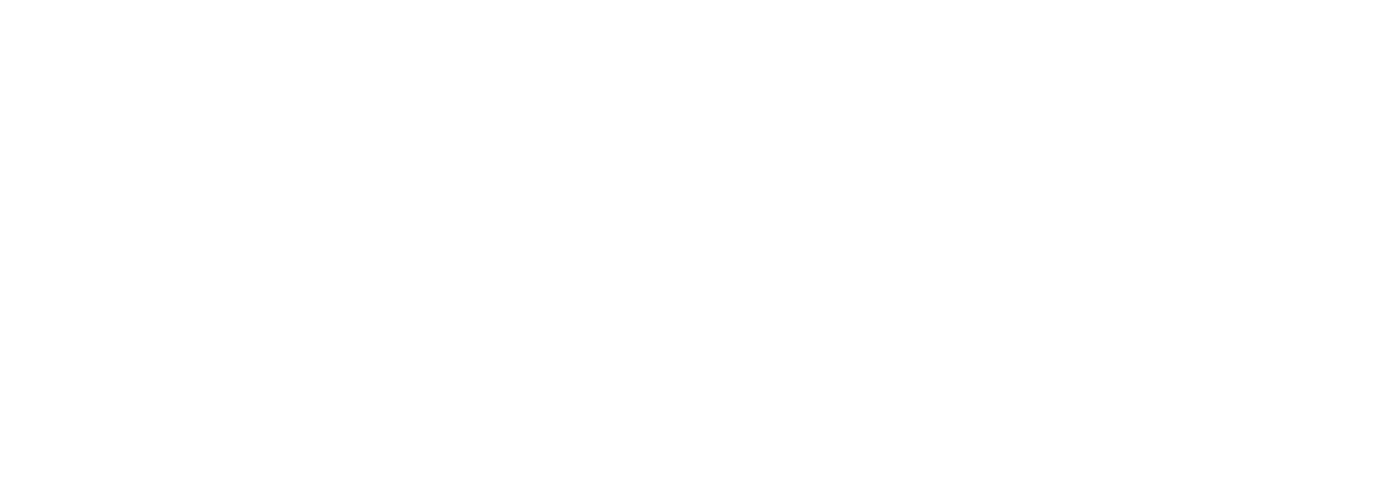 SAYED HANAFY